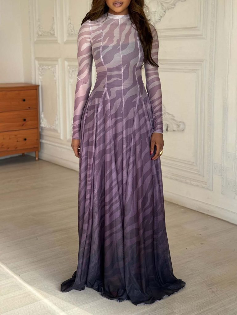 Printed Mesh Elegant Maxi Dress
